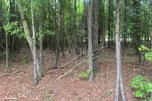 1716 Ranger Rd, Warrenton, GA 30828 - Photo 22