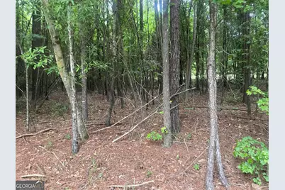 1716 Ranger Road, Warrenton, GA 30828 - Photo 26