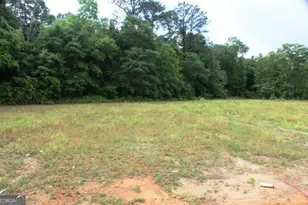 624 Ellie Circle, Dublin, GA 31021 - Photo 6
