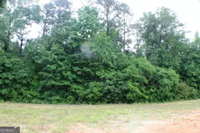 628 Ellie Circle, Dublin, GA 31021 - Photo 4
