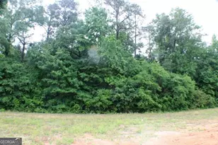 628 Ellie Circle, Dublin, GA 31021 - Photo 4