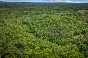 60 Weeks Ln, Ellijay, GA 30540 - Photo 78