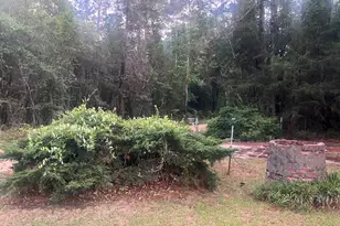371 Buchanan Rd, Eastman, GA 31023 - Photo 10