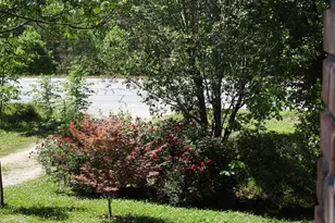 9503 Tails Creek Rd, Ellijay, GA 30540 - Photo 14