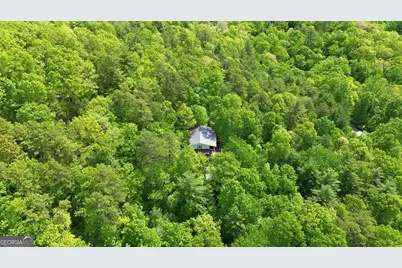 325 Kitchins Lane, Clayton, GA 30525 - Photo 48