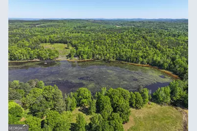 360 Parrish Road #(12 +/- ACRES), Cedartown, GA 30125 - Photo 42