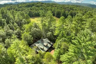 390 Twin Creeks, Blue Ridge, GA 30513 - Photo 56