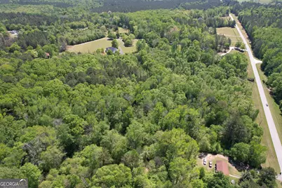 2310 Hollonville, Williamson, GA 30292 - Photo 4