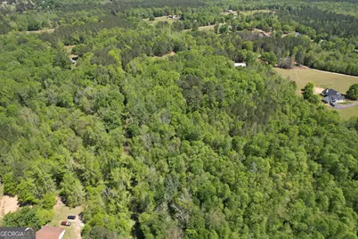 2310 Hollonville, Williamson, GA 30292 - Photo 2