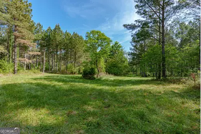 0 Cunningham Road, Lexington, GA 30648 - Photo 6