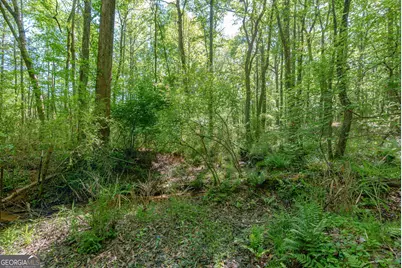 0 Cunningham Road, Lexington, GA 30648 - Photo 24