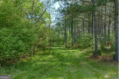 0 Cunningham Road, Lexington, GA 30648 - Photo 8