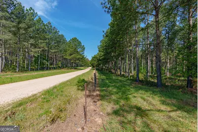 0 Cunningham Road, Lexington, GA 30648 - Photo 2