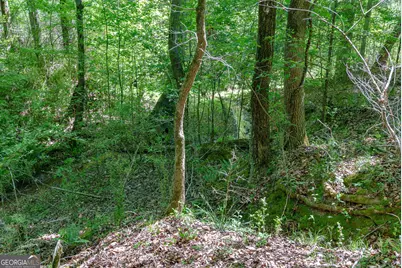 0 Cunningham Road, Lexington, GA 30648 - Photo 20