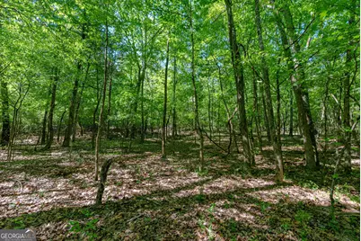 0 Cunningham Road, Lexington, GA 30648 - Photo 18