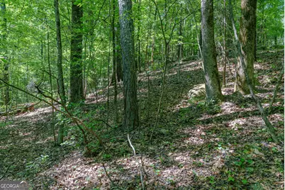 0 Cunningham Road, Lexington, GA 30648 - Photo 22