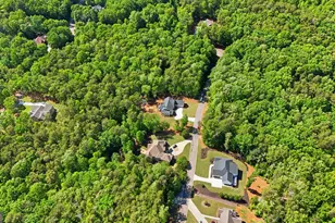 316 Glazenwood Drive, Clarkesville, GA 30523 - Photo 6