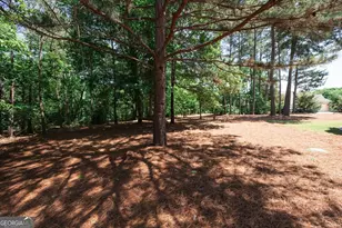 105 Freedom Dr, Forsyth, GA 31029 - Photo 44