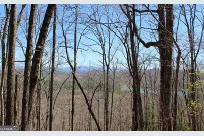 Lot 1 High Country Lane, Morganton, GA 30560 - Photo 8
