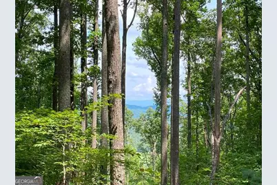 Lot 1 High Country Lane, Morganton, GA 30560 - Photo 2