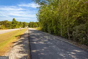 745 Mountain View Rd, Hamilton, GA 31811 - Photo 46