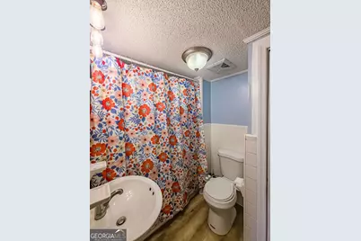 1975 Russell Smith Road, Sycamore, GA 31790 - Photo 34