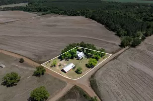 1975 Russell Smith Rd, Sycamore, GA 31790 - Photo 58