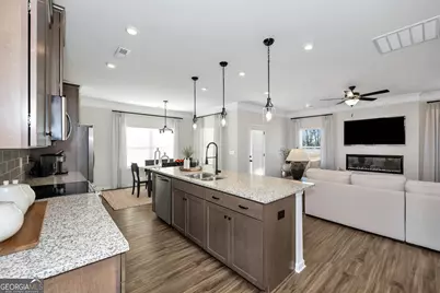 1410 Trellis Court #LOT 20, Hampton, GA 30228 - Photo 4