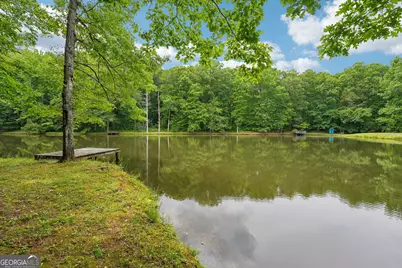 164 Vaughn Road, Newnan, GA 30265 - Photo 68