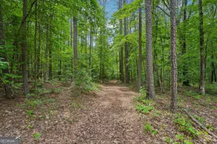 164 Vaughn Rd, Newnan, GA 30265 - Photo 58