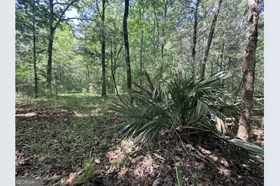 580 Saggus Road, Washington, GA 30673 - Photo 34