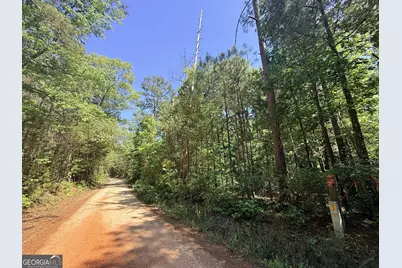 580 Saggus Road, Washington, GA 30673 - Photo 18