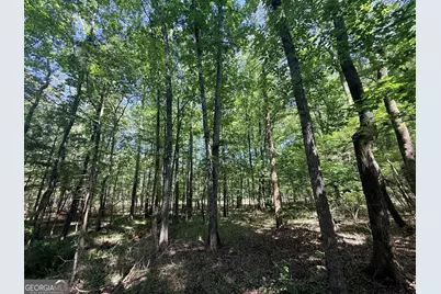 580 Saggus Road, Washington, GA 30673 - Photo 22