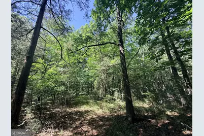 580 Saggus Road, Washington, GA 30673 - Photo 38