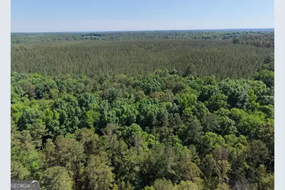580 Saggus Road, Washington, GA 30673 - Photo 12