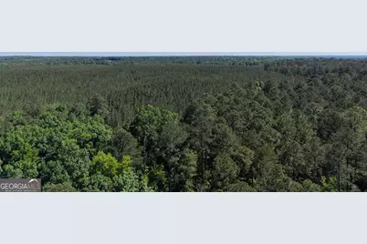 580 Saggus Road, Washington, GA 30673 - Photo 46