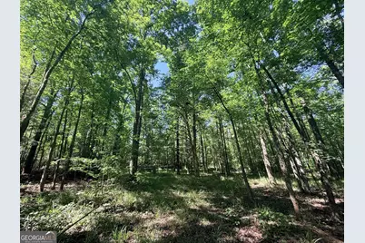 580 Saggus Road, Washington, GA 30673 - Photo 42
