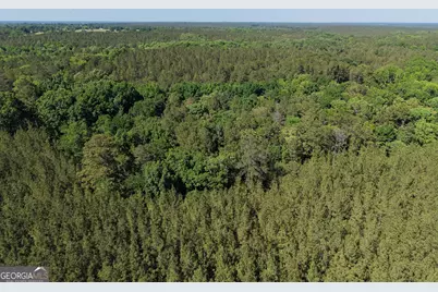 580 Saggus Road, Washington, GA 30673 - Photo 14