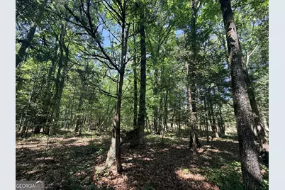 580 Saggus Road, Washington, GA 30673 - Photo 24
