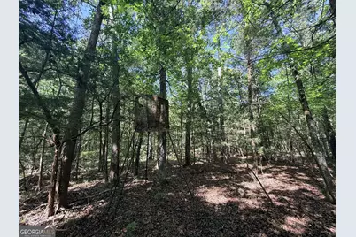 580 Saggus Road, Washington, GA 30673 - Photo 32