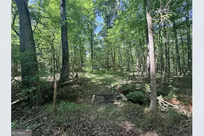580 Saggus Road, Washington, GA 30673 - Photo 40