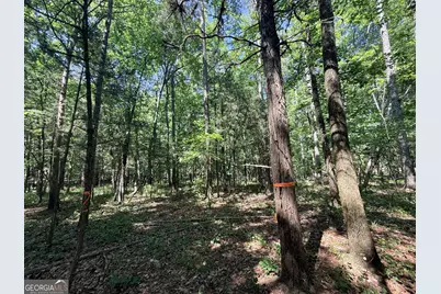580 Saggus Road, Washington, GA 30673 - Photo 26