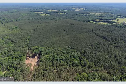 580 Saggus Road, Washington, GA 30673 - Photo 48