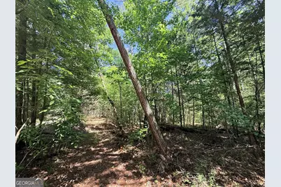 580 Saggus Road, Washington, GA 30673 - Photo 20