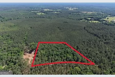 580 Saggus Road, Washington, GA 30673 - Photo 2