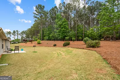 29 Concord Court, Senoia, GA 30276 - Photo 34