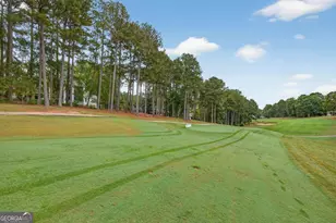 1001 Shoal Creek Ct, Greensboro, GA 30642 - Photo 10