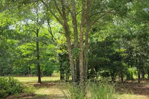 5321 S Hwy 15, Siloam, GA 30665 - Photo 40