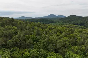 192 Wilderland Trail, Helen, GA 30545 - Photo 42