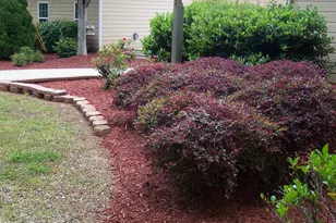 1844 Peeksville Rd, Locust Grove, GA 30248 - Photo 40